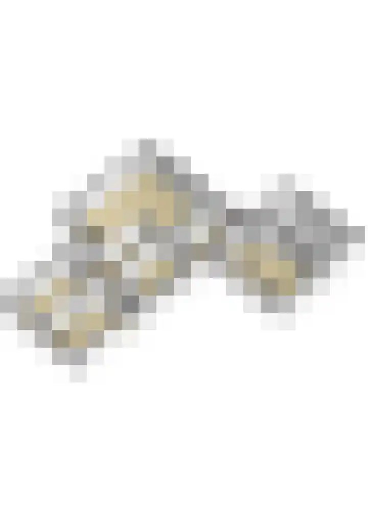 Whemelaan 6 Nunspeet thumbnail 44