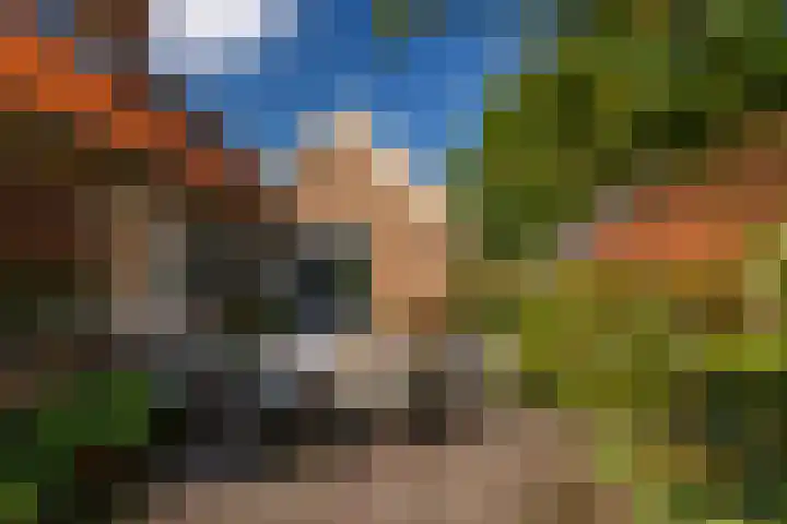 Whemerweg 29 Almen thumbnail 15