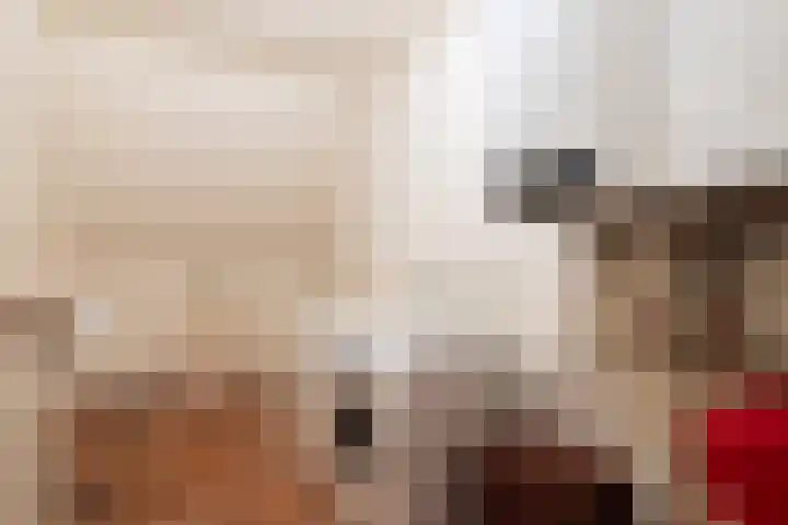 Whemerweg 29 Almen thumbnail 45