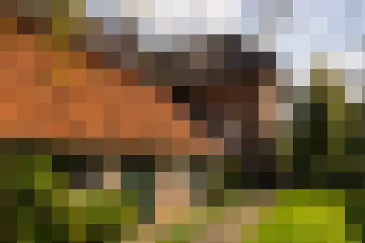 Whemerweg 29 Almen thumbnail 54