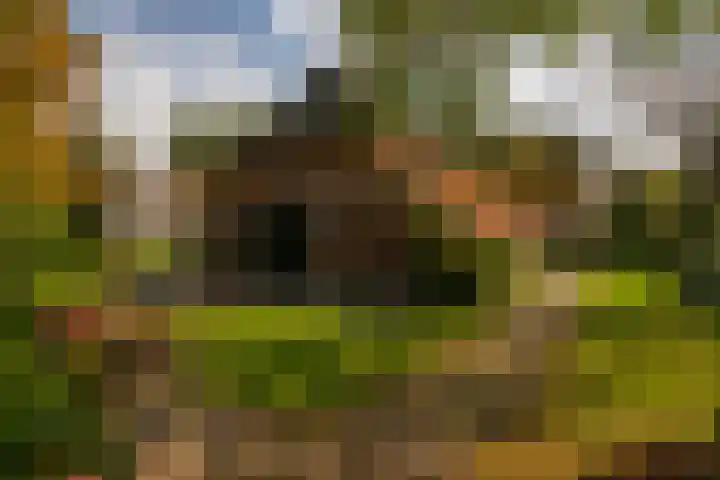 Whemerweg 29 Almen thumbnail 55