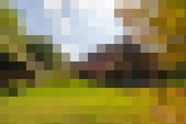 Whemerweg 29 Almen thumbnail 56