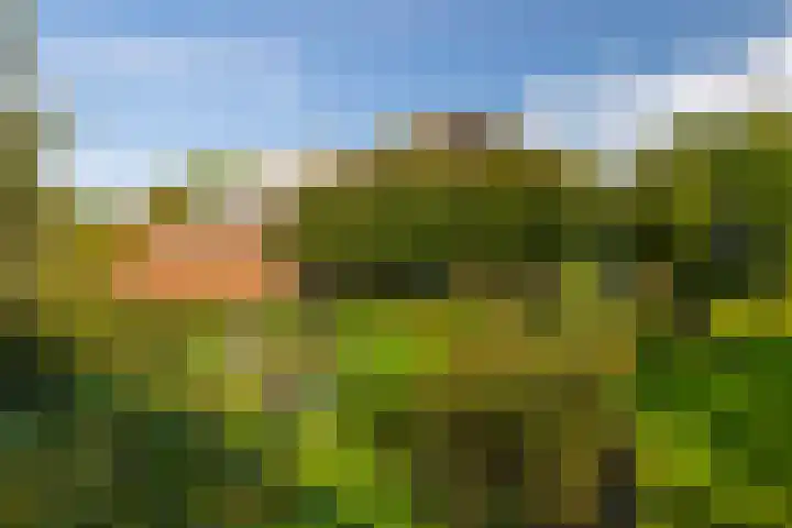 Whemerweg 29 Almen thumbnail 57