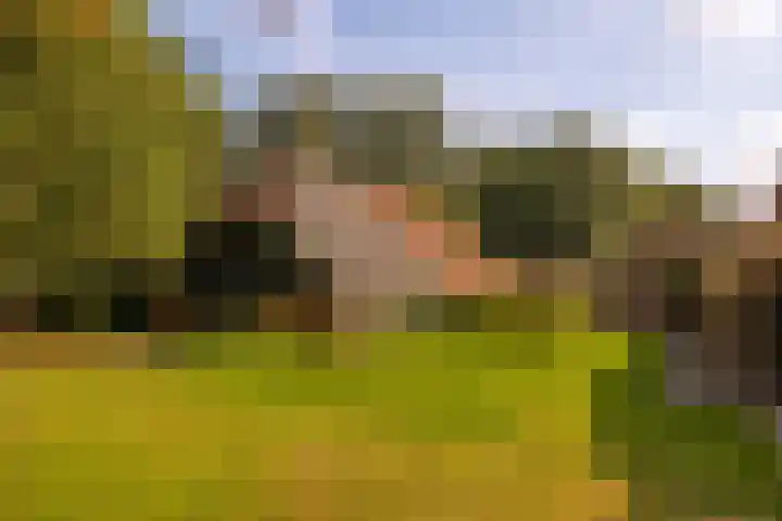 Whemerweg 29 Almen thumbnail 58