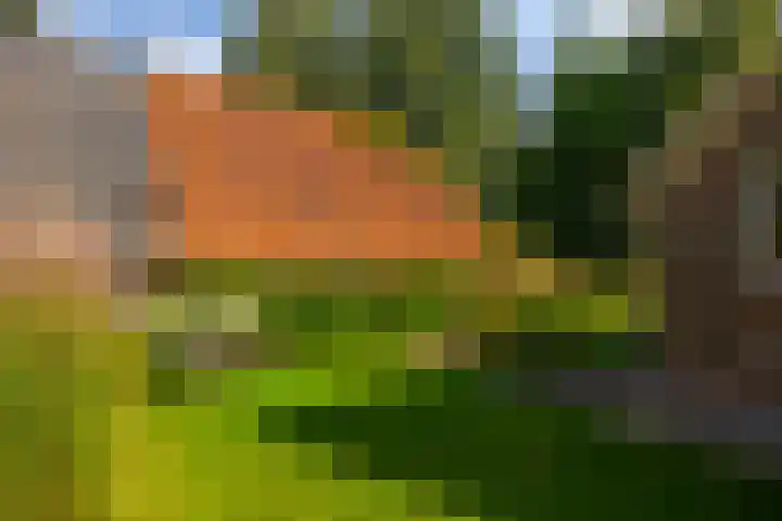 Whemerweg 29 Almen thumbnail 59