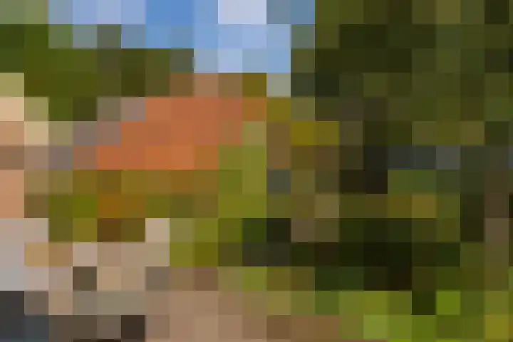 Whemerweg 29 Almen thumbnail 60