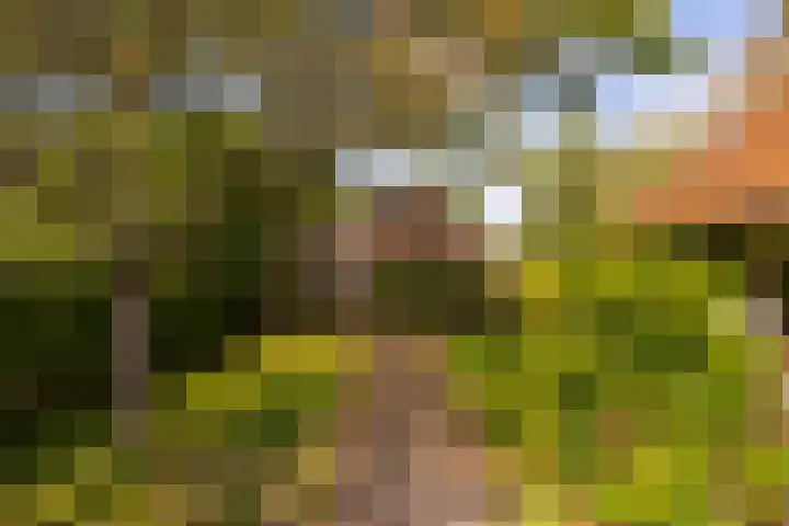 Whemerweg 29 Almen thumbnail 61