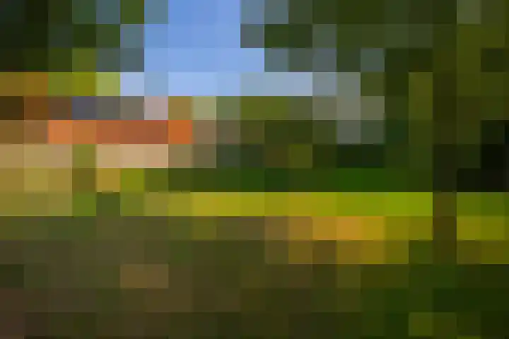 Whemerweg 29 Almen thumbnail 62