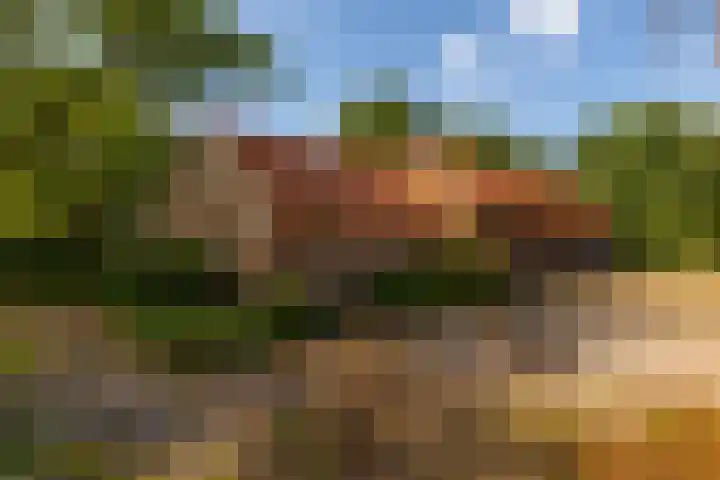 Whemerweg 29 Almen thumbnail 63