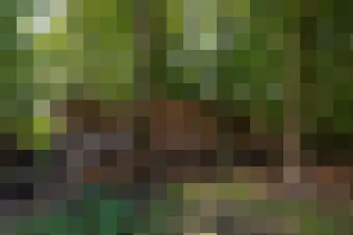 Whemerweg 29 Almen thumbnail 64