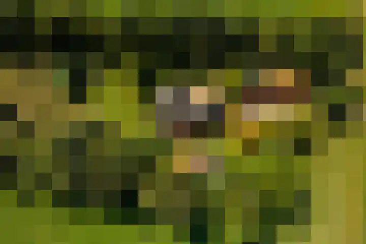 Whemerweg 29 Almen thumbnail 65