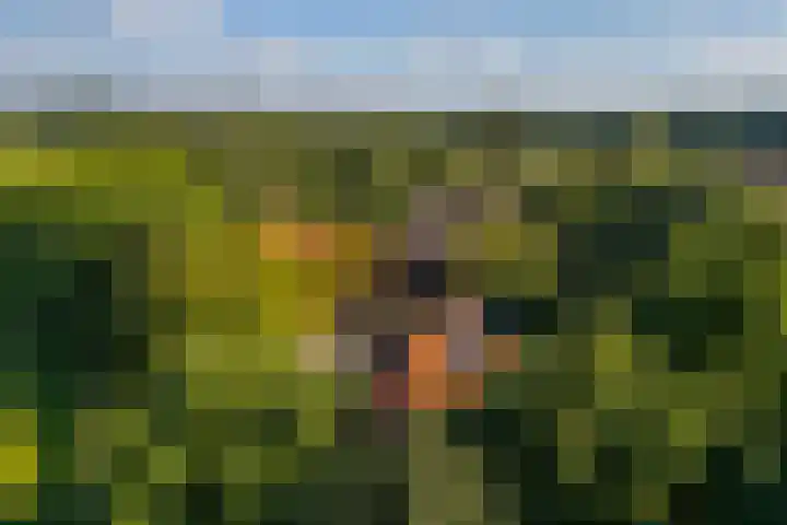 Whemerweg 29 Almen thumbnail 66