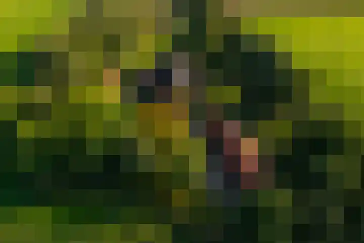 Whemerweg 29 Almen thumbnail 67