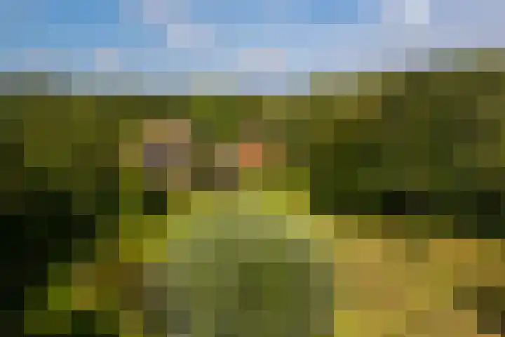 Whemerweg 29 Almen thumbnail 68
