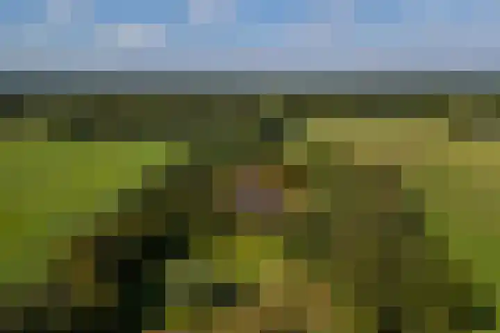 Whemerweg 29 Almen thumbnail 69