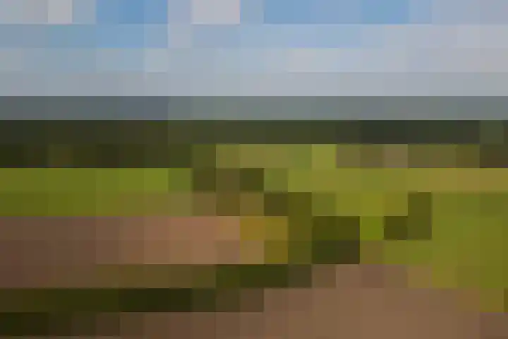 Whemerweg 29 Almen thumbnail 70