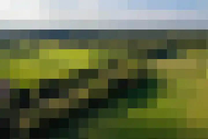 Whemerweg 29 Almen thumbnail 71