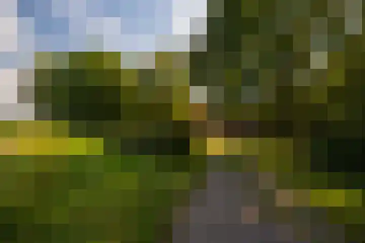 Whemerweg 29 Almen thumbnail 72