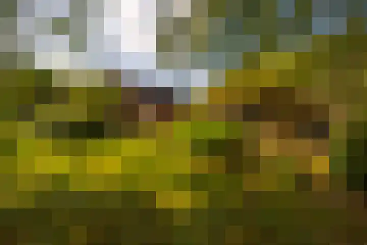 Whemerweg 29 Almen thumbnail 73