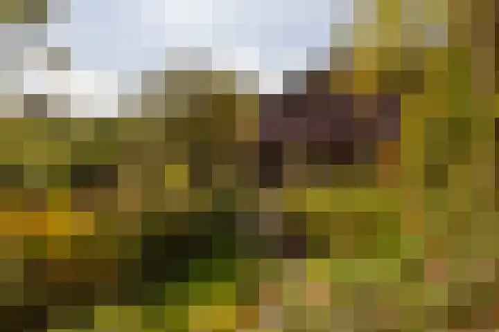 Whemerweg 29 Almen thumbnail 75