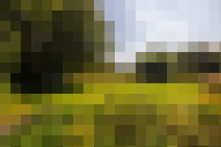Whemerweg 29 Almen thumbnail 76