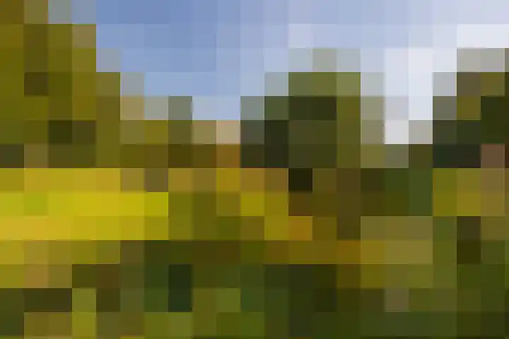 Whemerweg 29 Almen thumbnail 77
