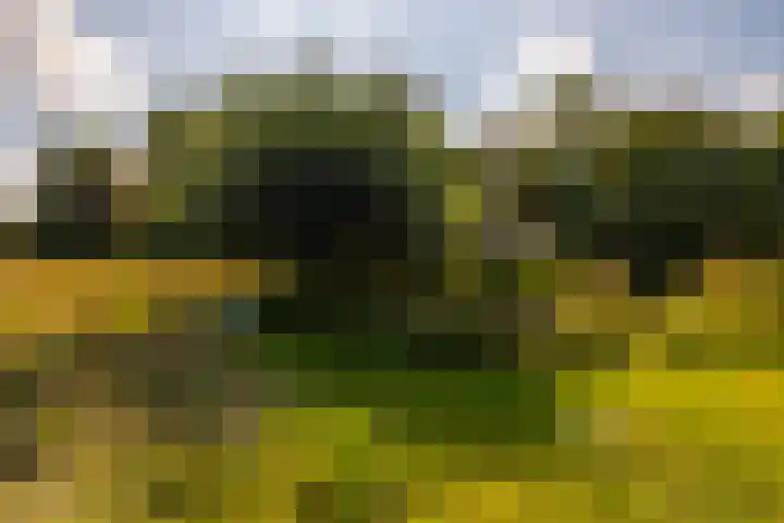 Whemerweg 29 Almen thumbnail 78