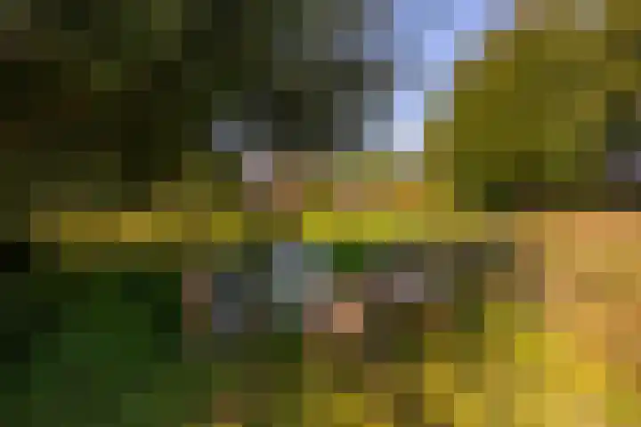 Whemerweg 29 Almen thumbnail 79
