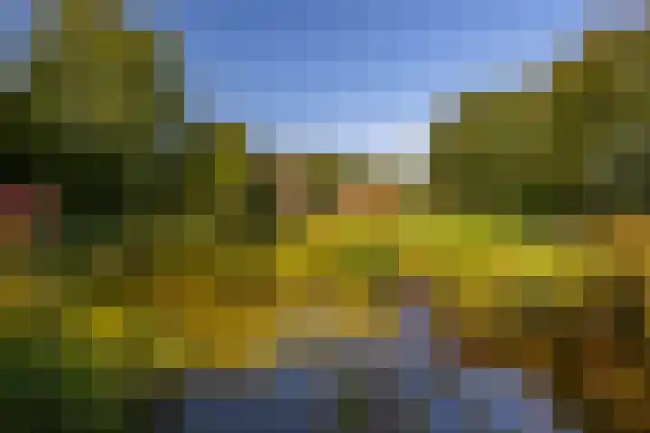 Whemerweg 29 Almen thumbnail 80