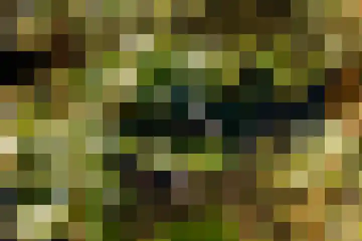 Whemerweg 29 Almen thumbnail 81