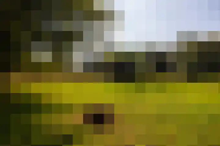 Whemerweg 29 Almen thumbnail 82