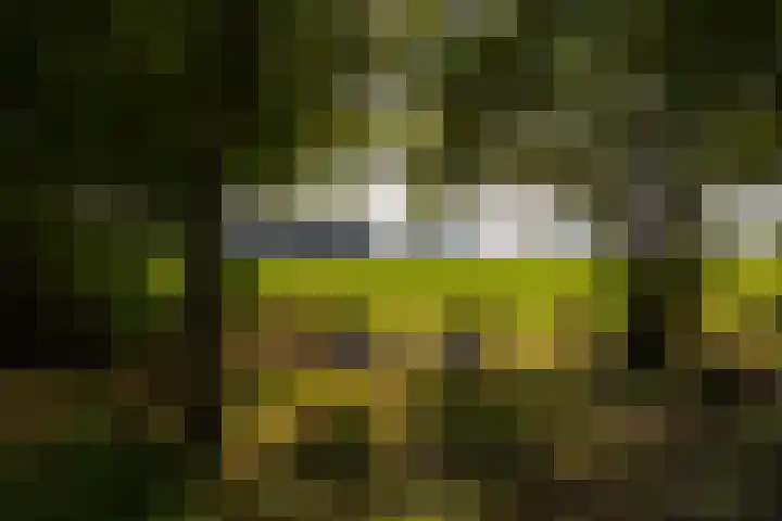 Whemerweg 29 Almen thumbnail 83