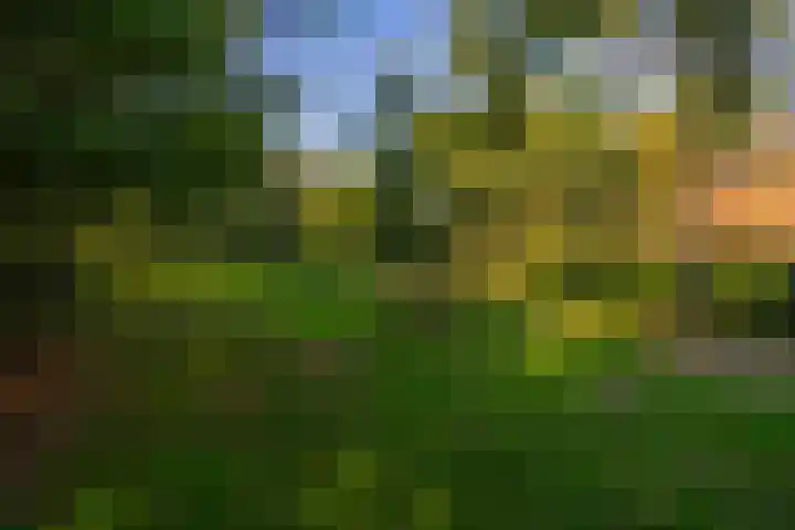 Whemerweg 29 Almen thumbnail 84