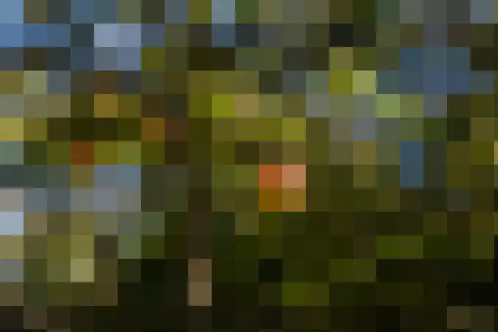 Whemerweg 29 Almen thumbnail 85