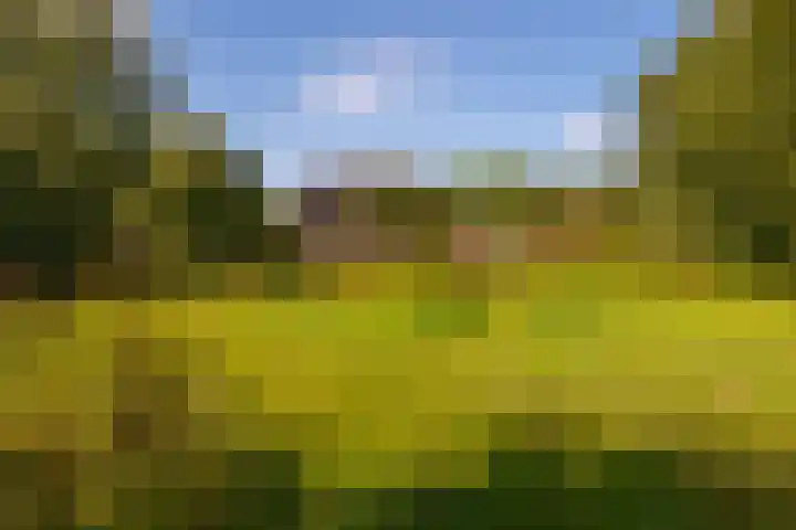 Whemerweg 29 Almen thumbnail 86