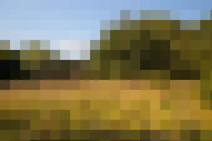 Whemerweg 29 Almen thumbnail 87