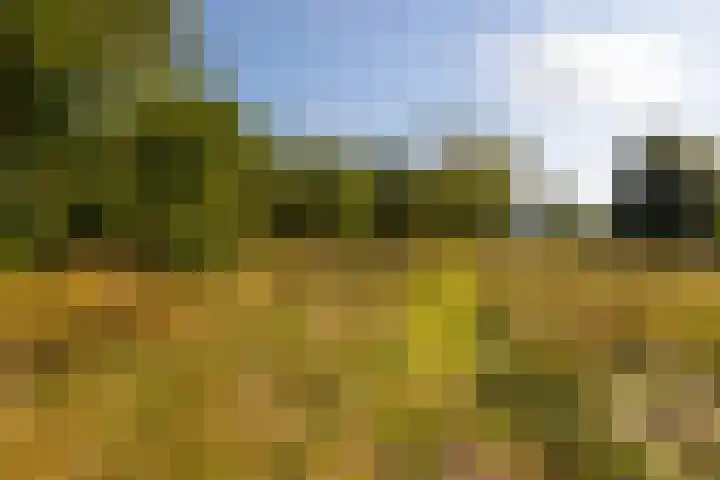 Whemerweg 29 Almen thumbnail 88