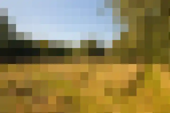 Whemerweg 29 Almen thumbnail 89