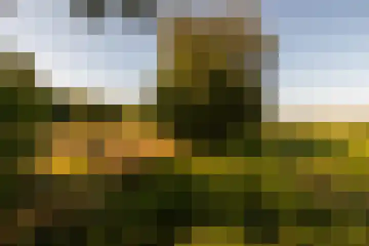 Whemerweg 29 Almen thumbnail 90