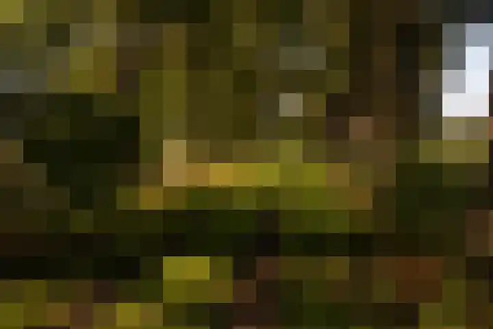 Whemerweg 29 Almen thumbnail 91