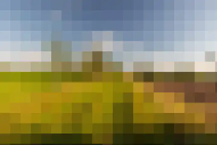 Whemerweg 29 Almen thumbnail 92