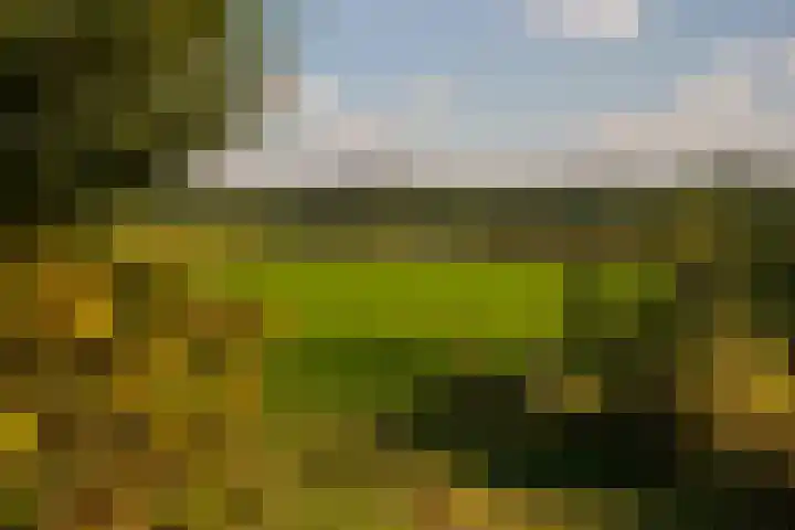 Whemerweg 29 Almen thumbnail 93