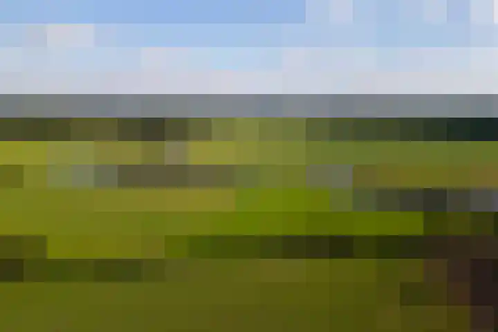 Whemerweg 29 Almen thumbnail 94