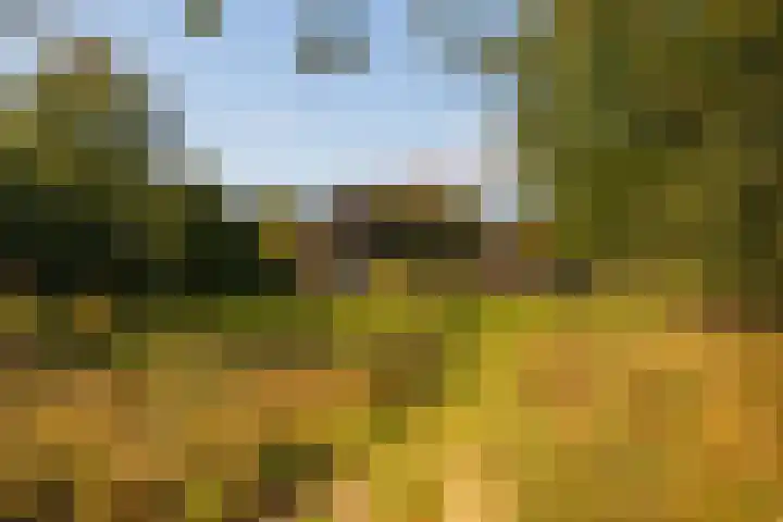 Whemerweg 29 Almen thumbnail 95