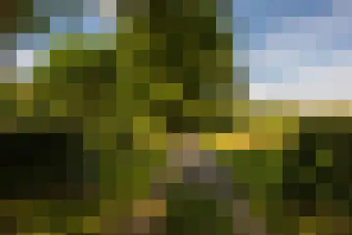 Whemerweg 29 Almen thumbnail 96