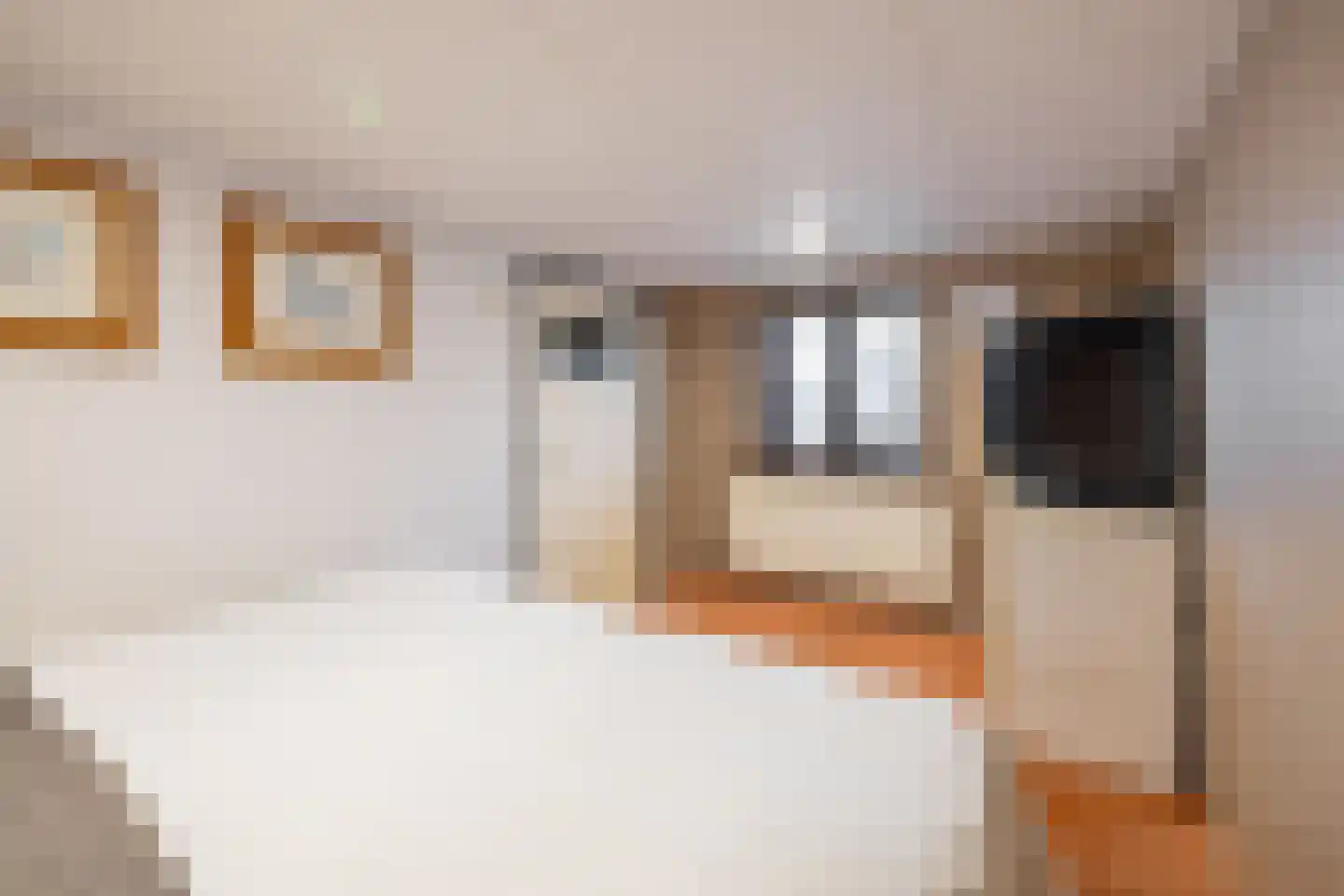 Wheredijk 80 Purmerend thumbnail 17