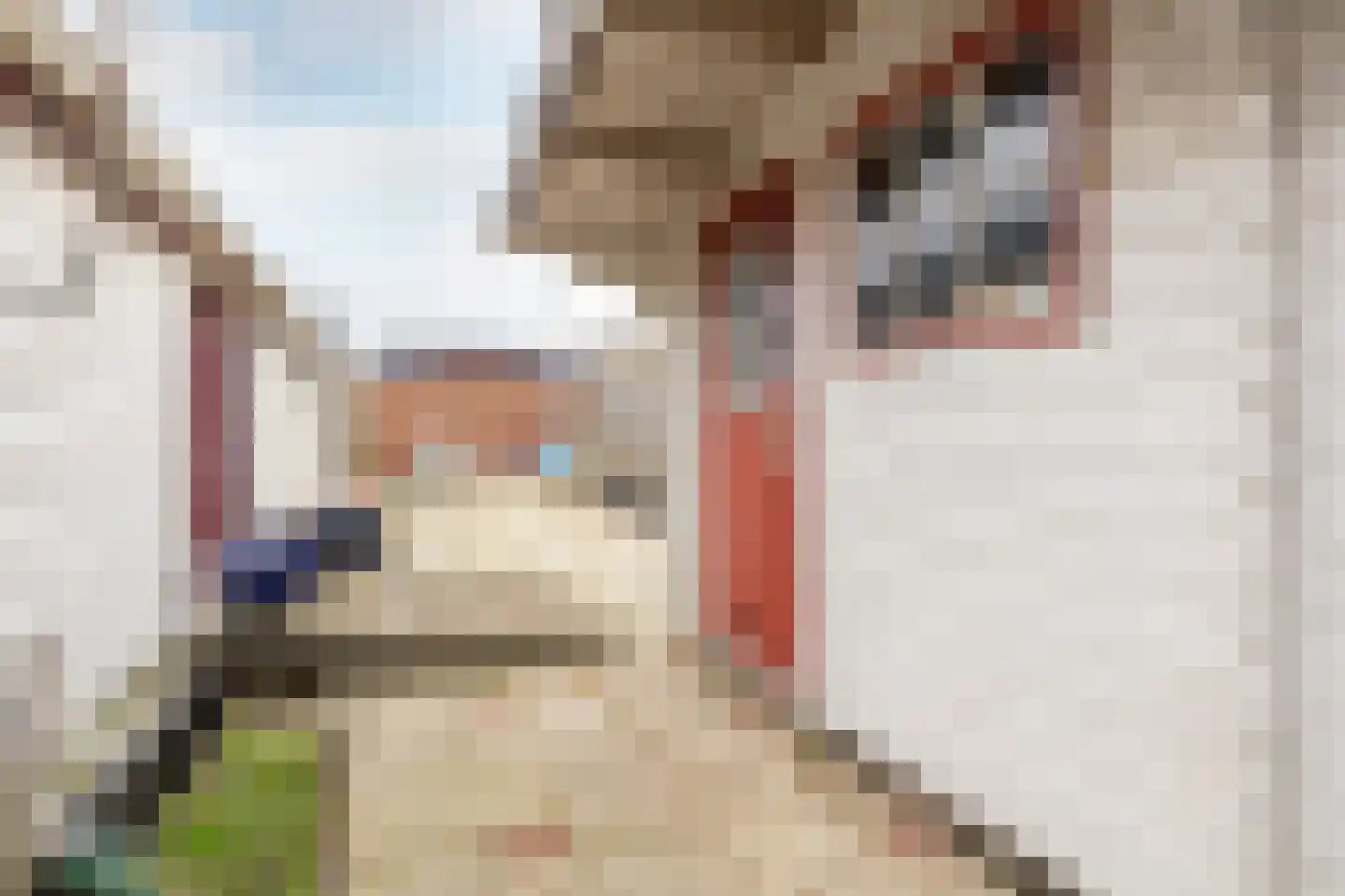 Wheredijk 80 Purmerend thumbnail 34