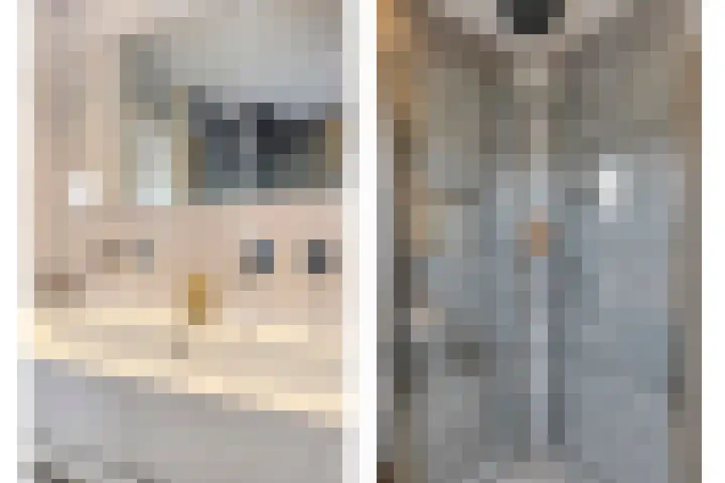 Wherekant 7 Purmerend thumbnail 28