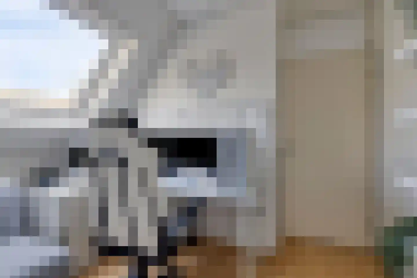 Wherekant 7 Purmerend thumbnail 30