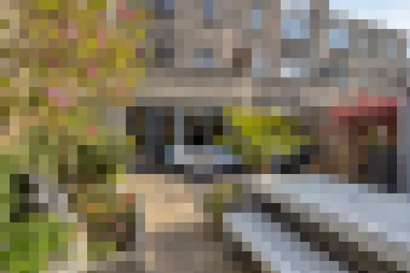 Wherekant 7 Purmerend thumbnail 41